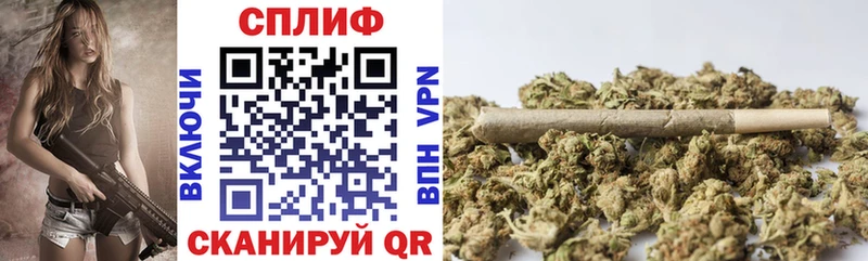 Где купить Гудермес A-PVP Cocaine