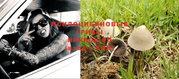 соль курить ск Арсеньев