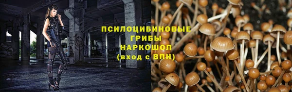 хмурый Армянск