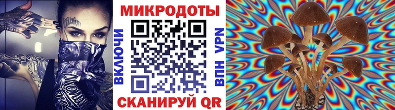 ОМГ ОМГ онион  Гудермес  Галлюциногенные грибы прущие грибы 