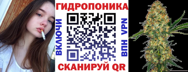 Бошки марихуана индика  купить наркотики цена  Гудермес 